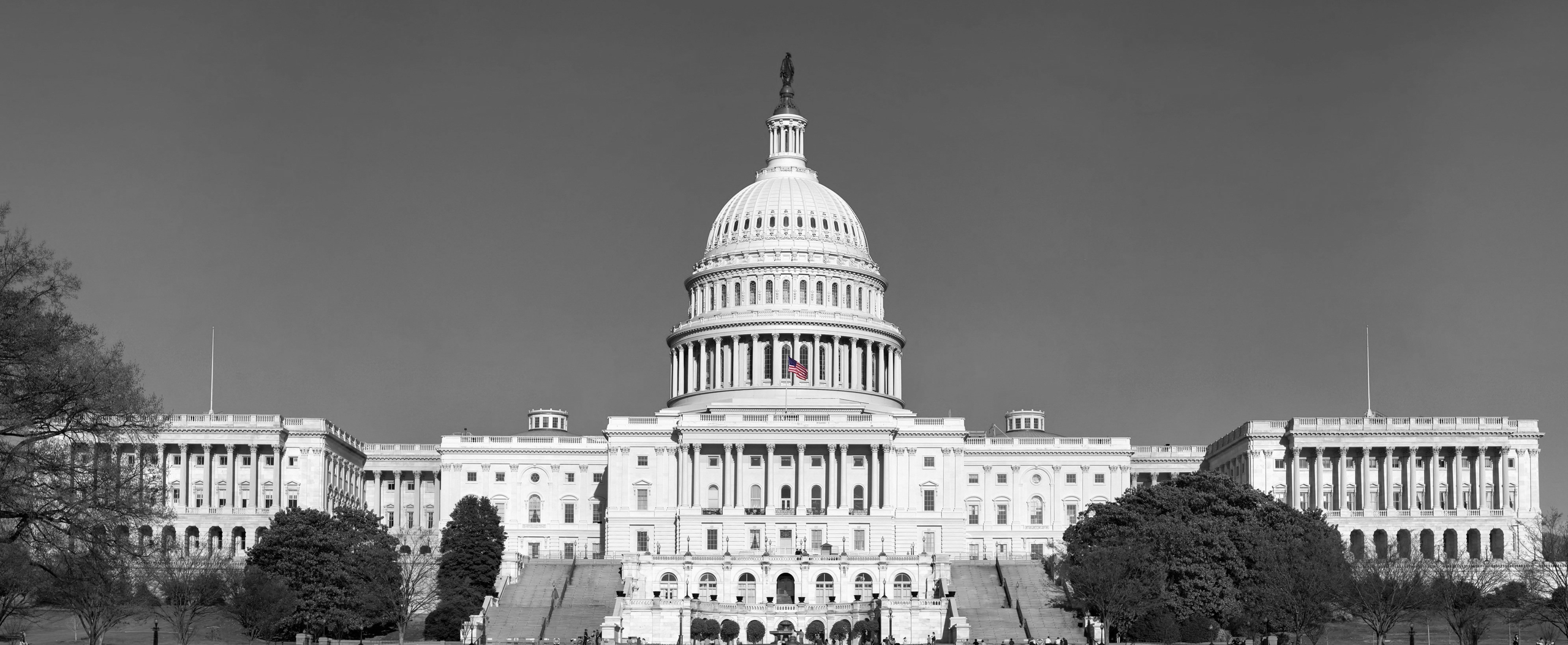 U.S. Capitol Building
